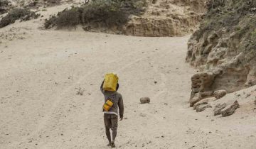 Victime de la sécheresse, Madagascar crie famine
